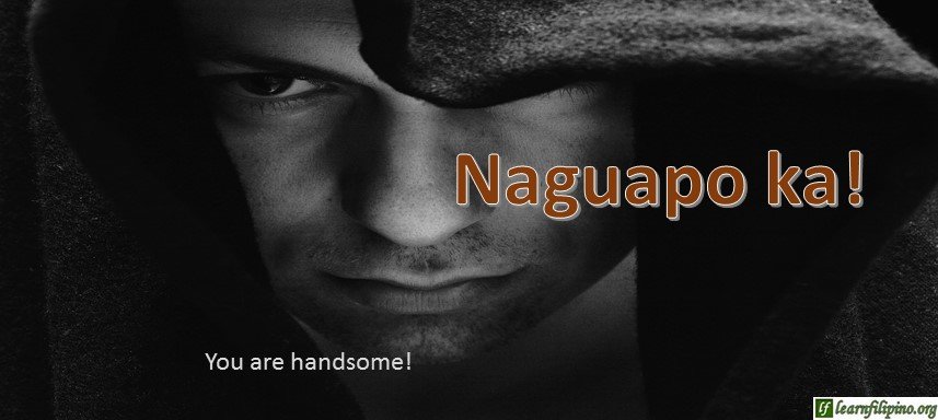 Ilocano Translation - You are handsome! - Naguapo ka!