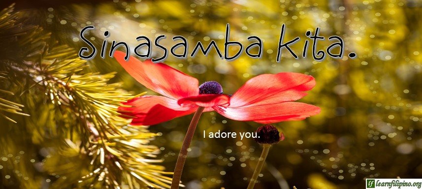 Tagalog Translation - I adore you. - Sinasamba kita.