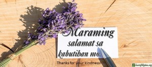 Tagalog Translation - Thanks for your kindness! - Salamat sa kabutihan mo!