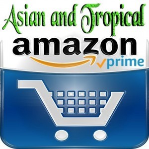 Asian and Tropical - Amazon.com -Your place to shop Asian and tropical Novelty shirts.