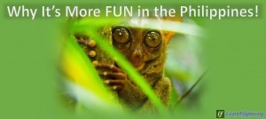 Bohol, Tarsier, Philippines. Just one of the many you can see in the forests of Bohol and other types of creatures in other islands. Won't it be fun to get lost in the forest and see them.