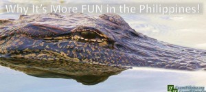 Crocodile, Philippines. The largest crocodile ever captived was housed in the Philippines. Look for farms that take care of them in Palawan. Sure it will be enjoyable to see them!